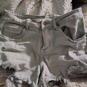 Baby blue Risen shorts